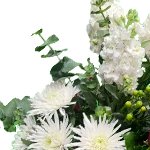 Get Well Soon Category